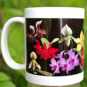 mug DS-024 Orchids Galore 7044.jpg